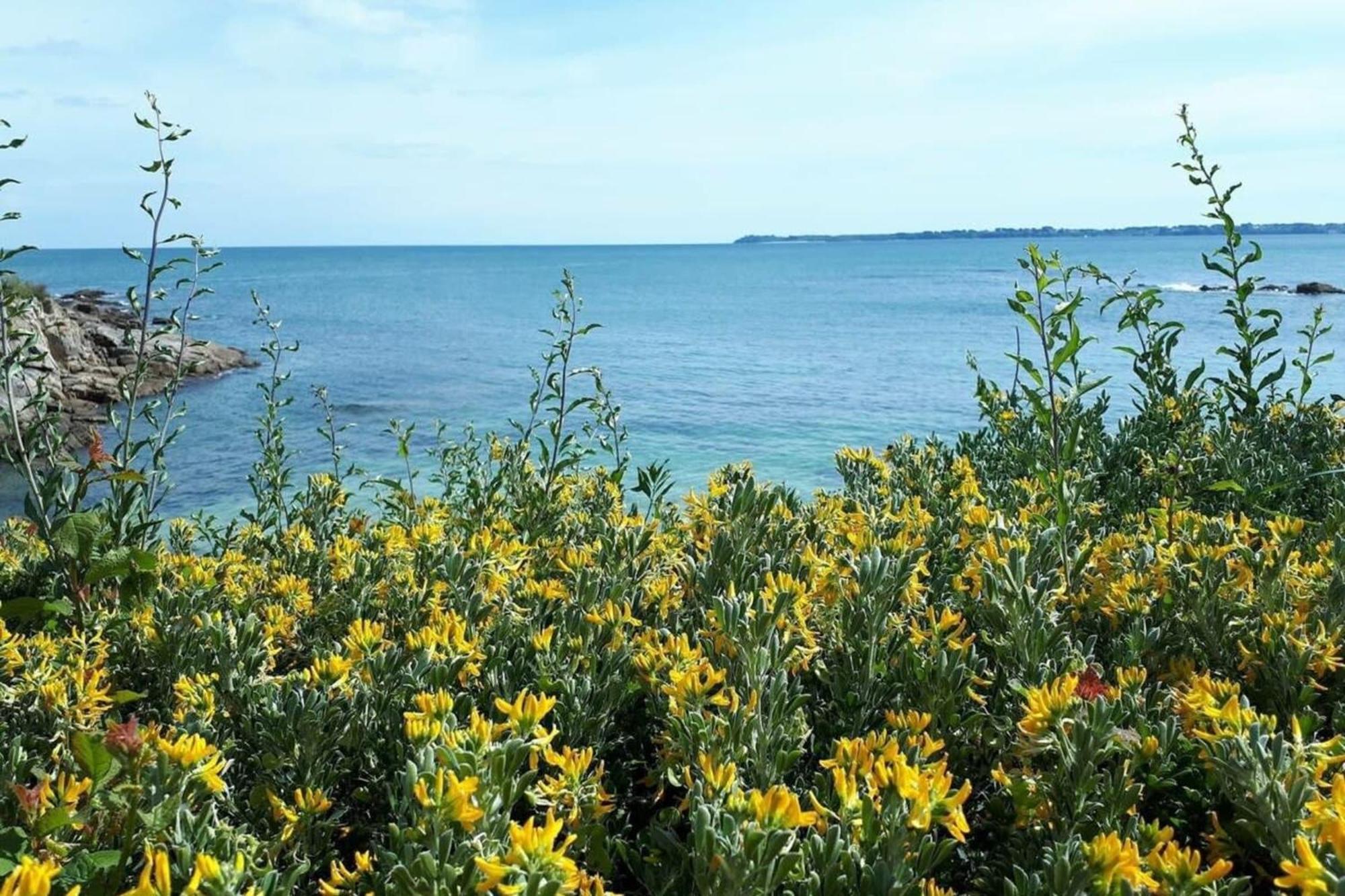 Charmant T3 Cosy A 2 Pas Du Bourg Et Des Plages ลาร์มอร์-พลาจ ภายนอก รูปภาพ